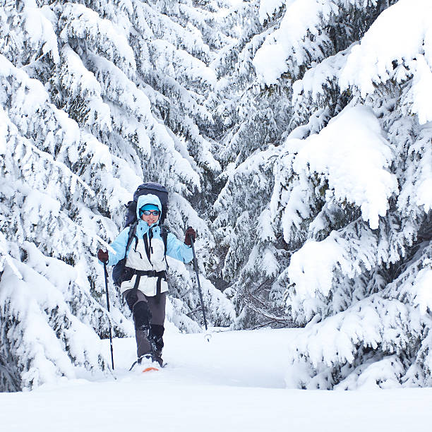 istock Hiker in the winter forest 496258350