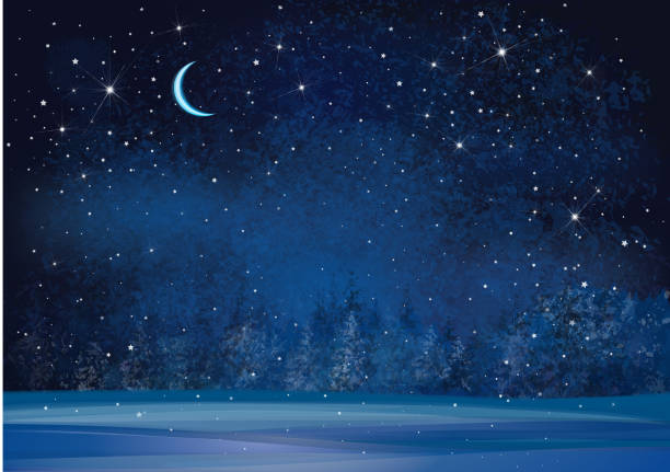 bildbanksillustrationer, clip art samt tecknat material och ikoner med vector winter wonderland night background. - moon forest