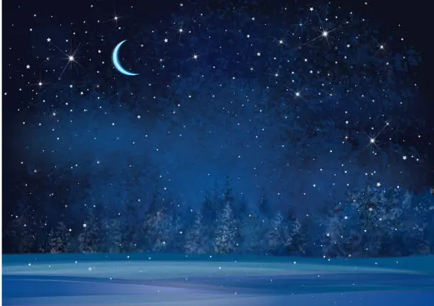 Vector illustration of Vector winter wonderland night background.