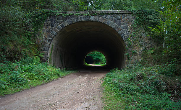 istock Light in the final of the tunnel. 496258456
