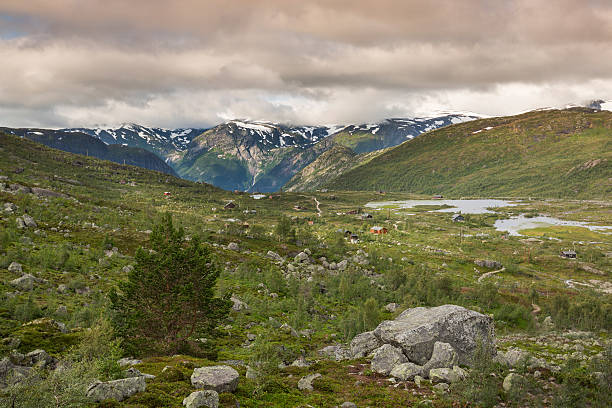 istock Landscape of Hardangervidda near Odda 496259328