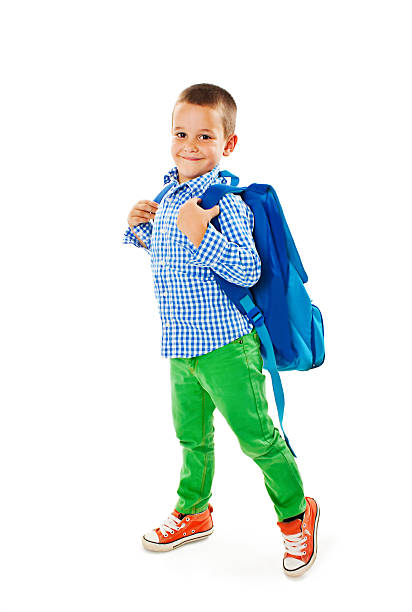 istock Full length portrait of a smiling school boy with backpack 496259682