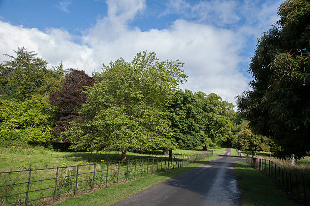 istock Killarney National Park, County Kerry 496261188