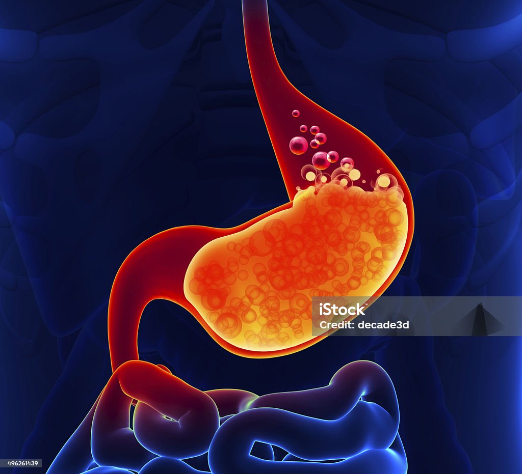 Ácido gástrico - Foto de stock de Estómago libre de derechos