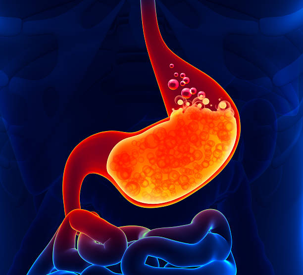 Gastric Acid Gastric Acid indigestion stock pictures, royalty-free photos & images