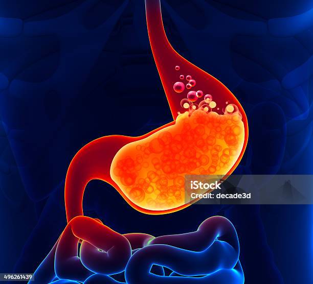Gastric Acid Stock Photo - Download Image Now - Stomach, Abdomen, Gastroesophageal Reflux Disease