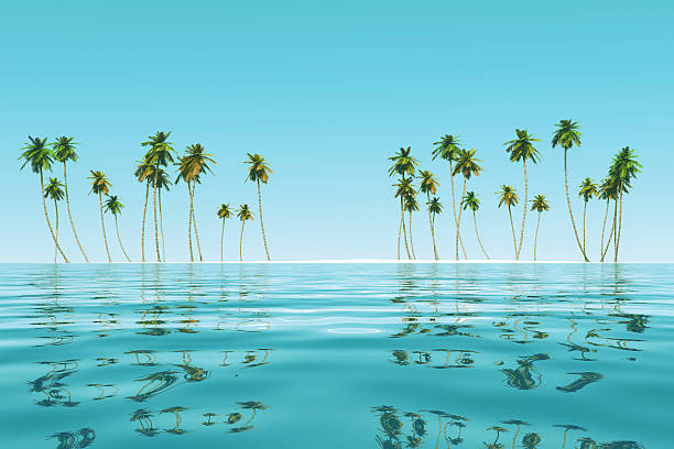 istock coconut island at tropic sea 496261465