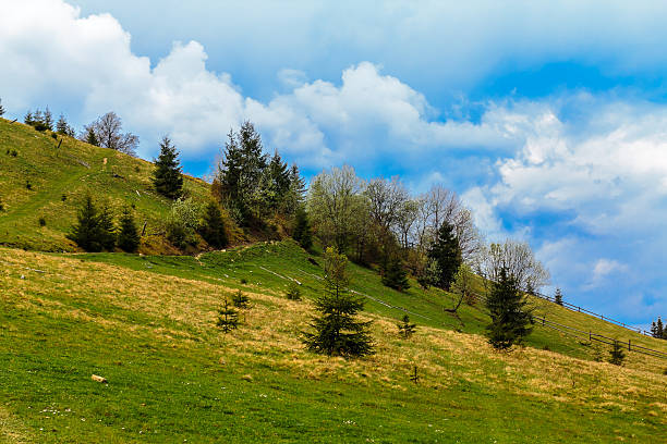 Scenic mountain landscape shot near Hoverla. Carpathian, Ukraine stock photo