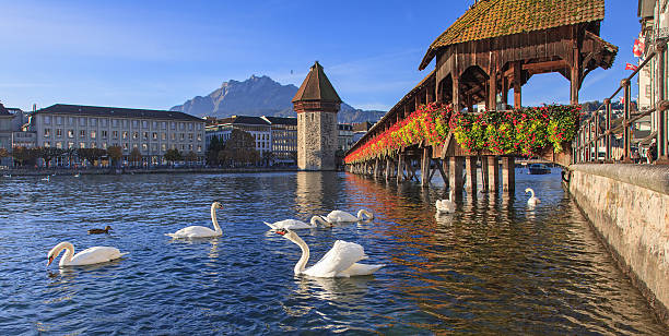 istock Lucerne, the Chapel Bridge in early morning 496261529