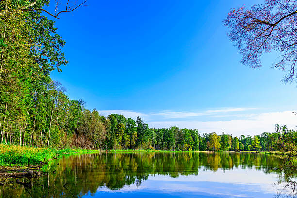 istock Autumn Landscape with Lake and Forest 496262006