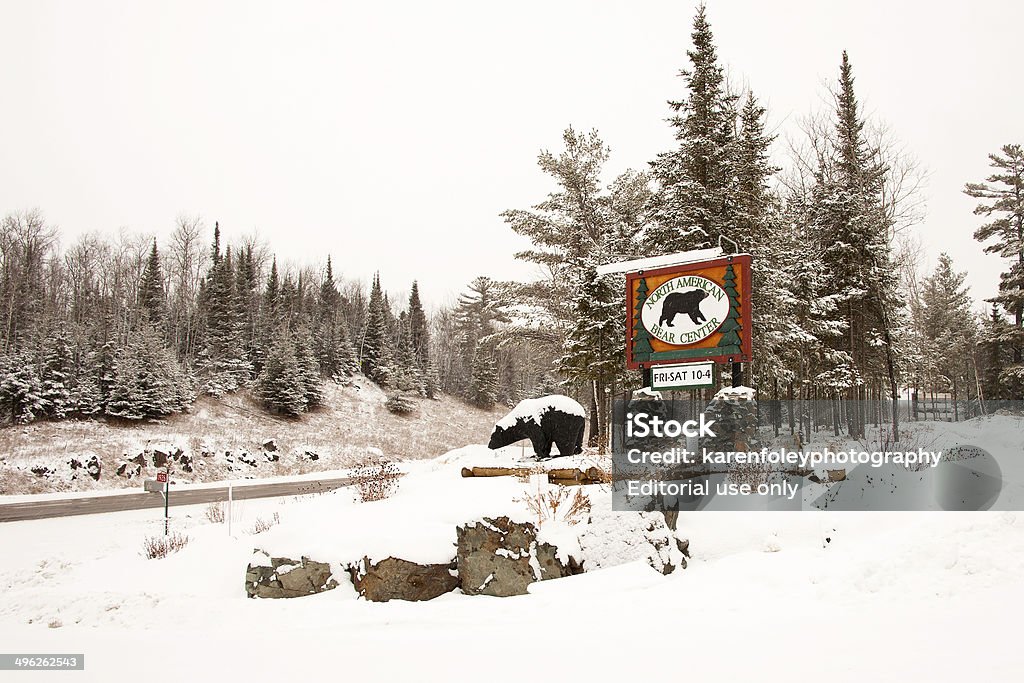 North American Bear Center - Foto de stock de América do Norte royalty-free