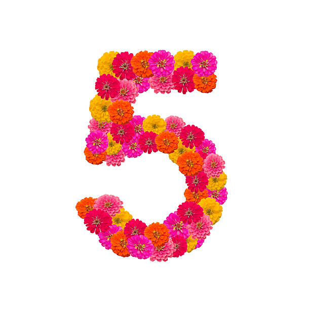 istock Numbers of cosmos flowers 496262779