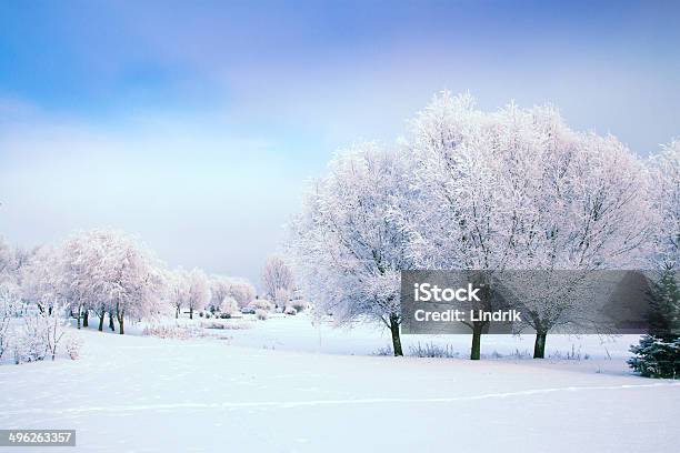 겨울맞이s Tale 0명에 대한 스톡 사진 및 기타 이미지 - 0명, 겨울, 계절