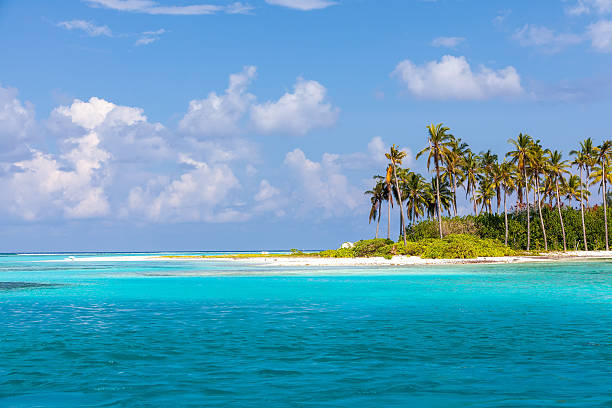 istock Scenic view at ocean near Maldives 496263634