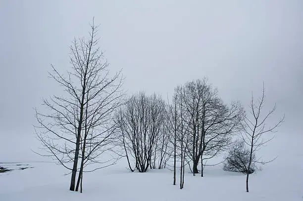 View of the glacial tarn Feldsee, near Titisee, covered in snow, Schwarzwald, Germany.