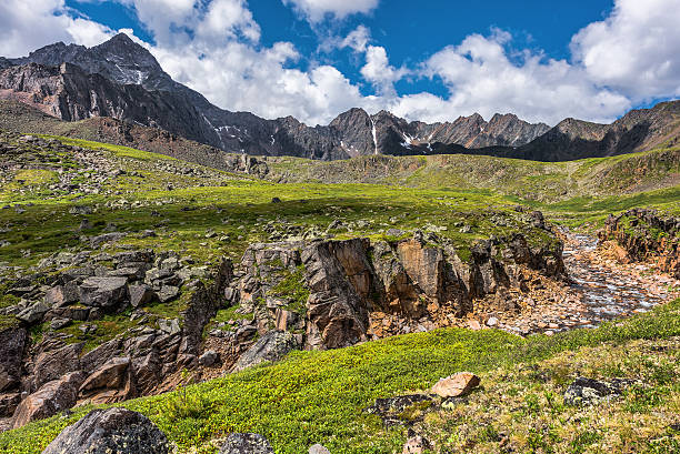 istock Small canyon in the alpine tundra 496264266