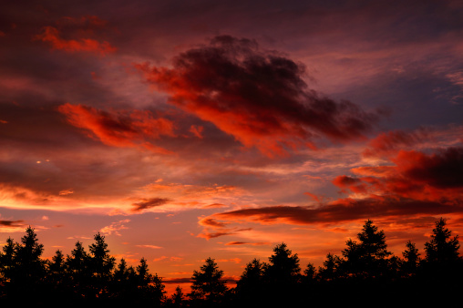 Canadian forest: Evil red sunset sky