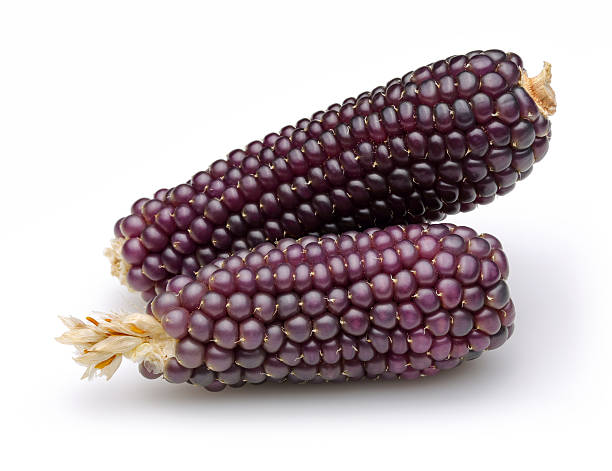 그레디언트된 유기 콘 - corn on the cob corn dry dried food 뉴스 사진 이미지