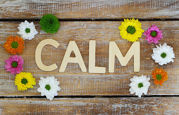 istock Word calm written on rustic wooden surface and Santini flowers 496266322