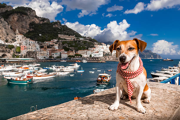 positano italia amalfitana - sky sea town looking at view fotografías e imágenes de stock