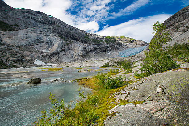 istock Blue glacier with lake Nigardsbreen in Norway 496267730