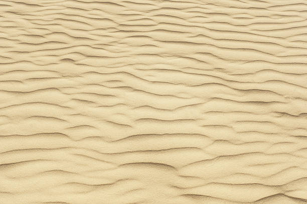 sable texture fond avec espace de copie - beach coral close up water photos et images de collection