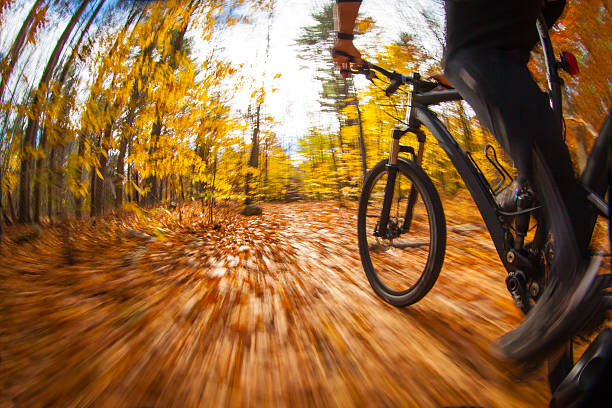 istock Mountain biking on a bright and crisp day 496282088