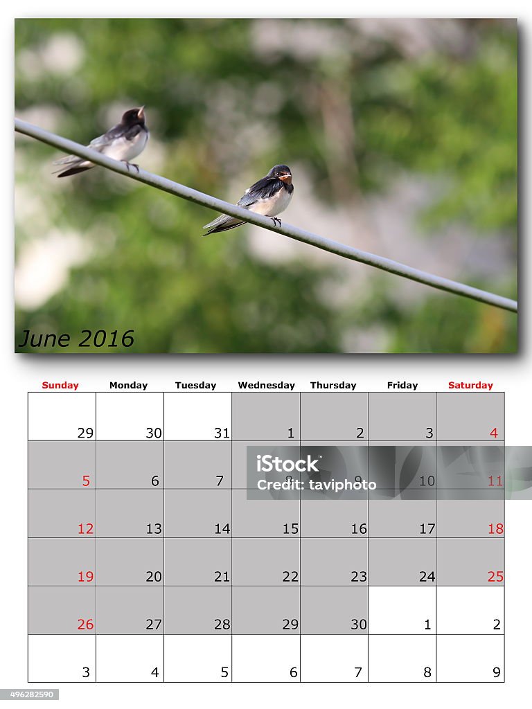 garden birds calendar  june 2016 garden birds calendar  june 2016, layout 2015 Stock Photo