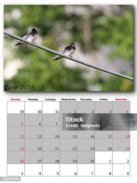 Garden Birds Calendar June 2016 Stock Photo - Download Image Now - 2015, 2016, Animal Wildlife