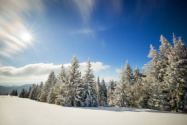 istock Summy Day in Carpathian Mountains 496283806