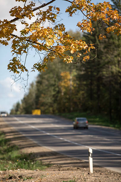 otoño road en canadá - country road lane road dirt road fotografías e imágenes de stock