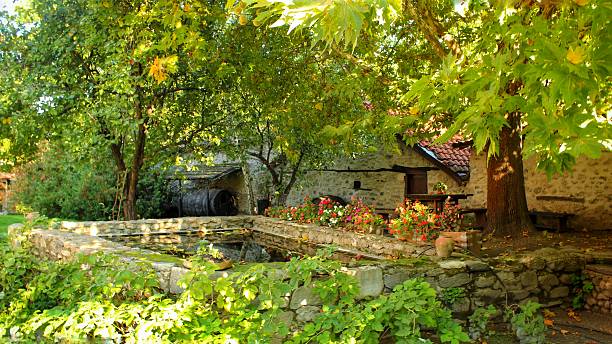 istock Outdoor public relaxing park 496285324