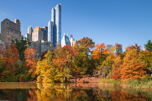 New York City, New York, USA - October 30, 2015: Pictured here is an autumn view of the pond at Central Park in New York City with old and modern buildings in the background.  Central Park in Manhattan is a notable iconic landmark. 