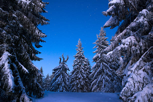 istock Night in the snowy mountains 496285556