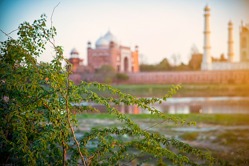 Sunsetting on the Taj Mahal in Agra. India