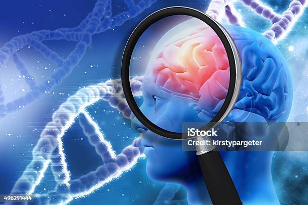 3d Medical Background With Magnifying Glass Examining Brain Stock Photo - Download Image Now