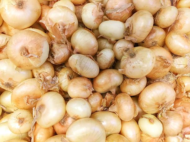 Cippolini Onions