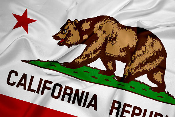 istock Waving California State Flag 496305695
