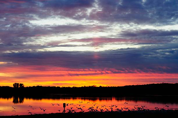 istock Sunset in Stony Creek Metro Park 496307710