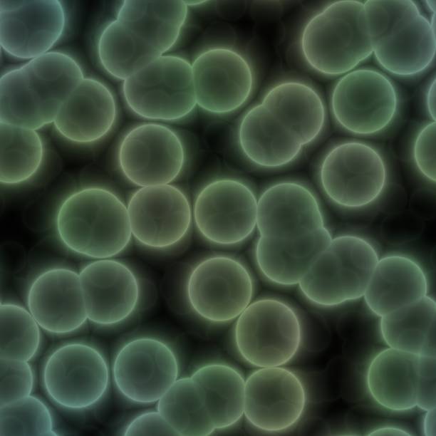 istock The microscopic world. Dangerous green bacterias in dirty water 496307726