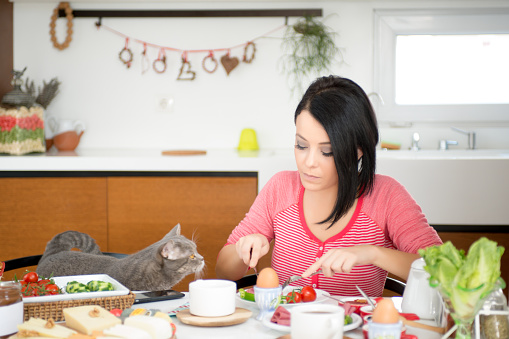 beautiful woman eating breakfast at home with cats