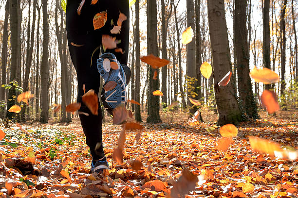 Runner Close up of runner's feet running in autumn leaves training exercise distance running stock pictures, royalty-free photos & images