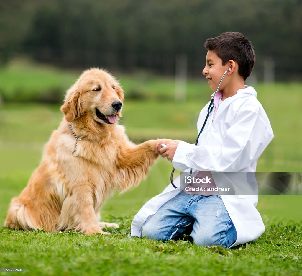 Veterano jovem com um cão - Foto de stock de Veterinário royalty-free
