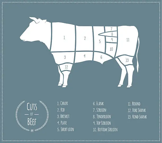 Vector illustration of Cuts of Beef [US Chart]