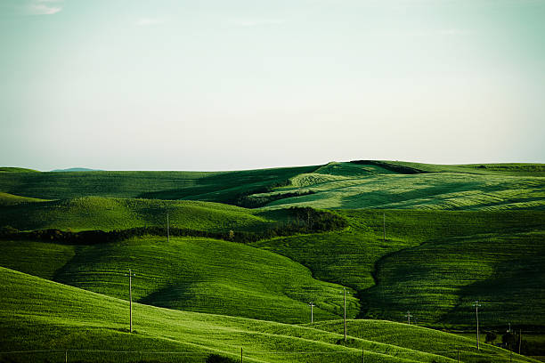 istock Beautiful hills of Tuscany 496310167