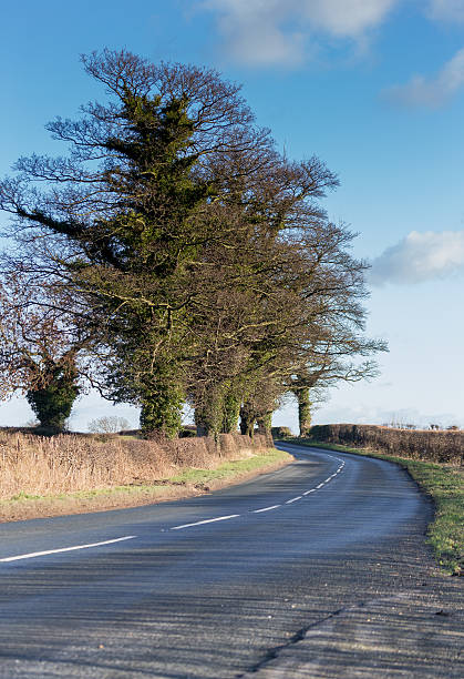istock rural country road Yorkshire England 496310883