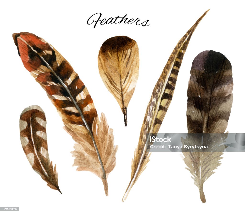 watercolor feather set watercolor feather set, hand drawn illustration isolated on white background Feather stock illustration