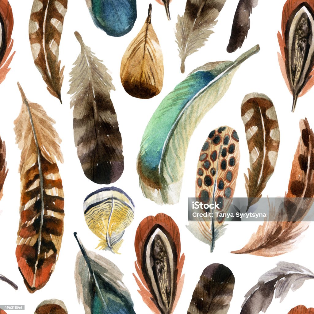 watercolor feather background watercolor colorful feather background, hand drawn illustration Animal Wing stock illustration