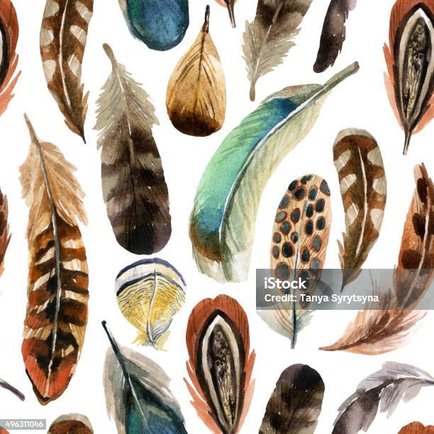 Watercolor Feather Background Stock Illustration - Download Image Now - Animal Wing, Feather, Pheasant - Bird
