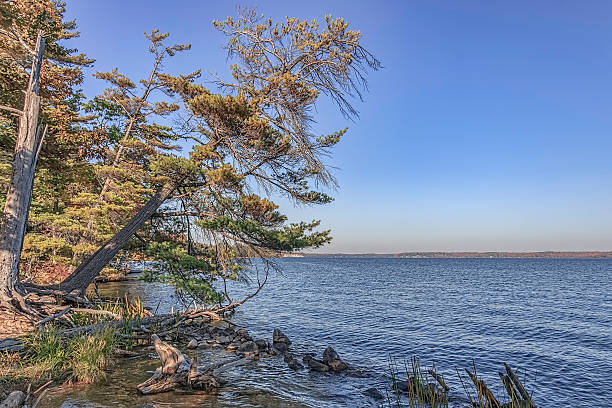 istock Hamlin Lake Ludington Michigan USA. 496316236